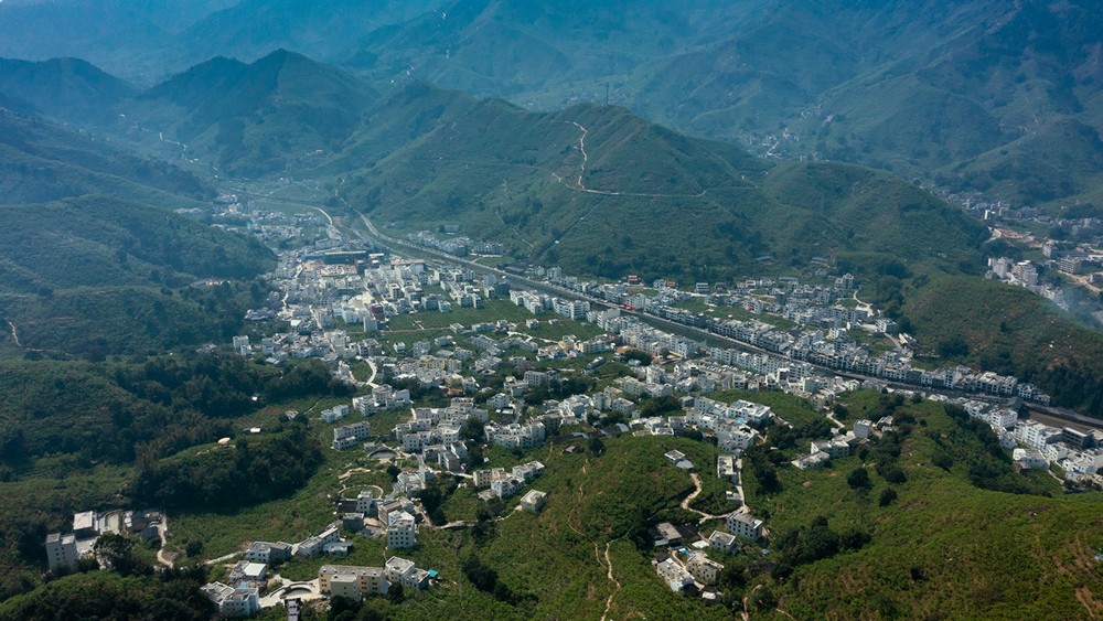 智慧果園沃，種出致富果，云蝶智慧果園落地信宜